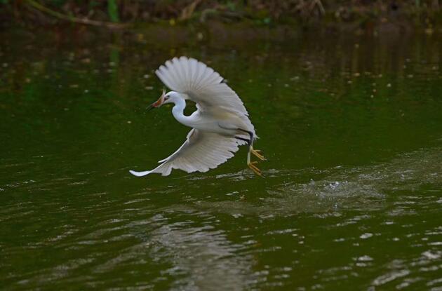 上海宜勢電子科技有限公司|連接器|繼電器|傳感器|汽車行業(yè)