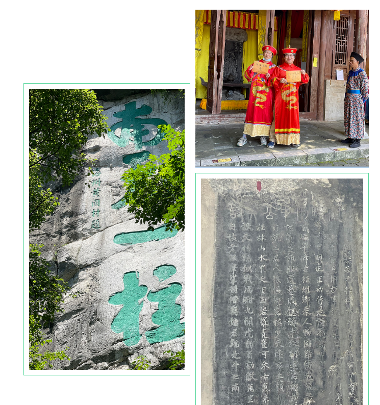 上海宜勢(shì)電子科技有限公司|連接器|繼電器|傳感器|汽車行業(yè)